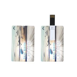 USB-minne CredCard