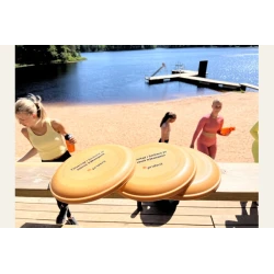 Frisbee Träkomposit